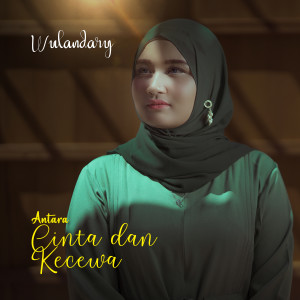 Listen to Antara Cinta Dan Kecewa song with lyrics from Wulandary