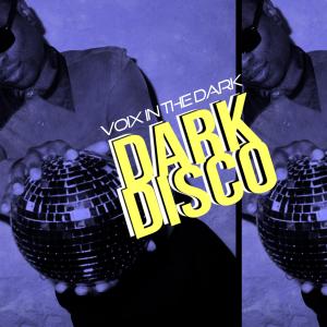 收聽Voix in the Dark的Dark Disco (Electro Acid) (Poison the Vicar Remix)歌詞歌曲