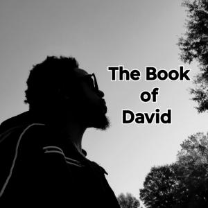 Sonny D504的專輯The Book of David, Vol. I (Explicit)