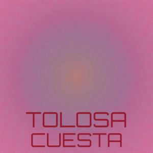 อัลบัม Tolosa Cuesta ศิลปิน Various