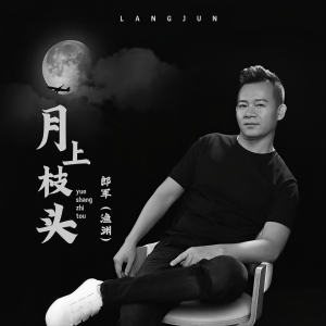 Listen to 月上枝头 song with lyrics from 郎军