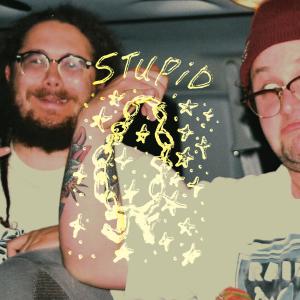 ดาวน์โหลดและฟังเพลง Stupid (Explicit) พร้อมเนื้อเพลงจาก Just Friends