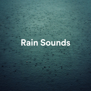 Dengarkan lagu Relaxing Rain Sounds nyanyian Nature Sounds Music dengan lirik