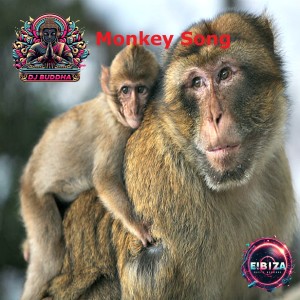 ดาวน์โหลดและฟังเพลง Monkey song (Original Mix) พร้อมเนื้อเพลงจาก DJ Buddha