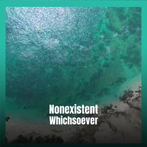 Album Nonexistent Whichsoever from Various