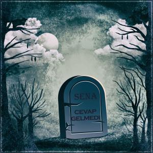 Listen to Tektir (Explicit) song with lyrics from Bedbin