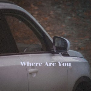 Dengarkan You've Got What It Takes lagu dari The Lana Sisters dengan lirik