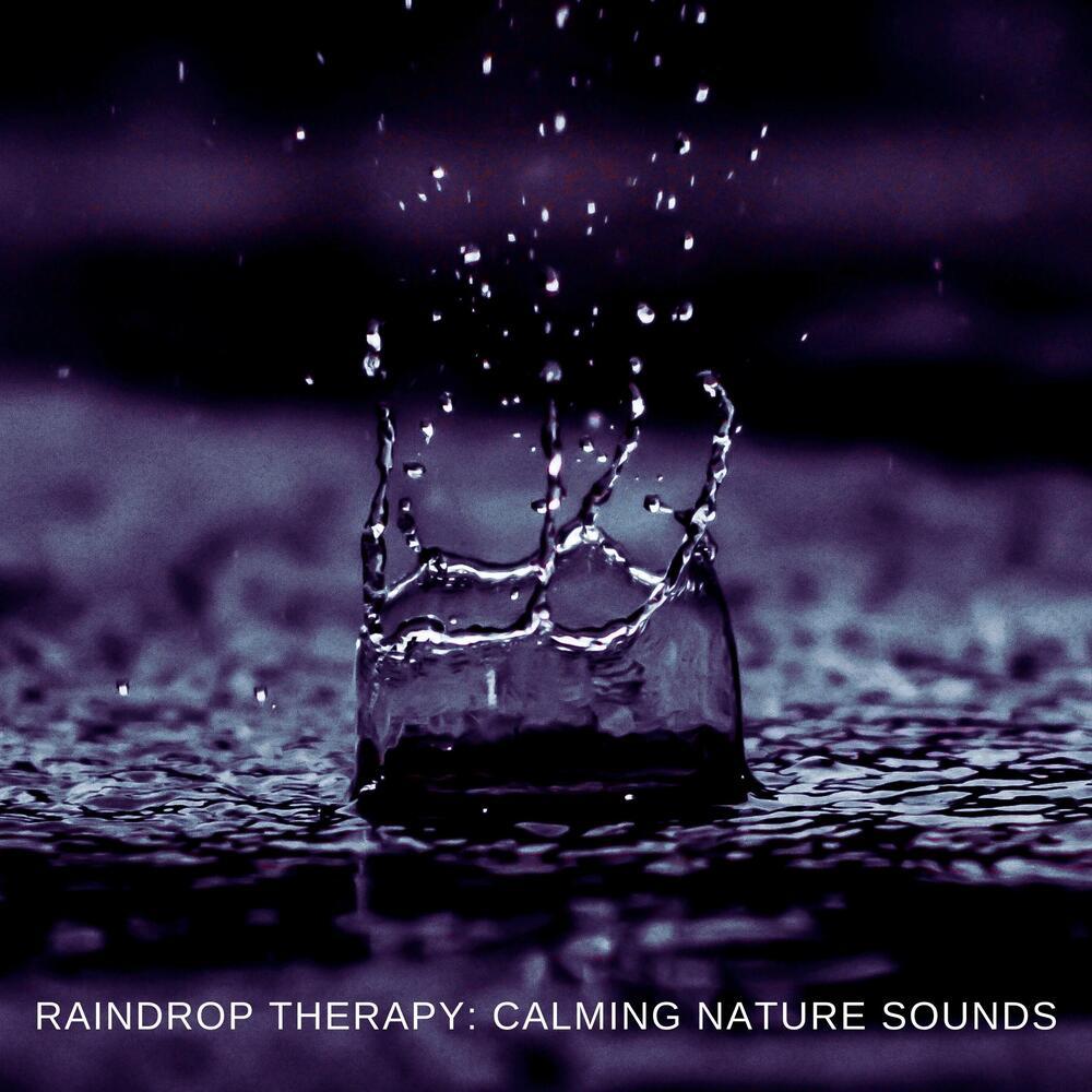 Rainfall Meditations: Inner Peace in Every Drop