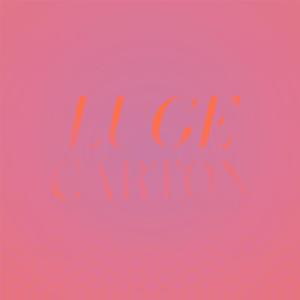 Album Luge Carton from 