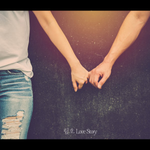 Listen to Love Story song with lyrics from 림호