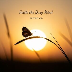 Album Settle the Busy Mind Before Bed from Deep Sleep Hypnosis Masters