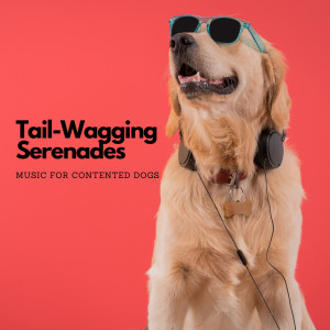 อัลบัม Tail-Wagging Serenades: Music For Contented Dogs ศิลปิน Solitude Beats