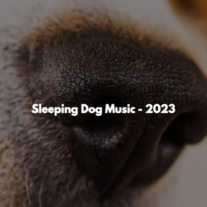 Sleeping Dog Music - 2023