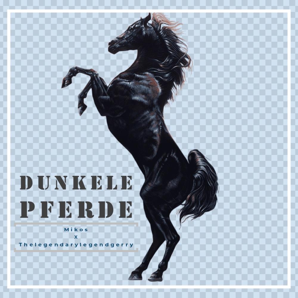 Dunkele Pferde (feat. Thelegendarylegendgerry) (Explicit)