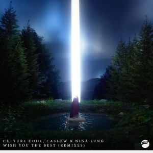 Album Wish You The Best (Remixes) oleh Caslow