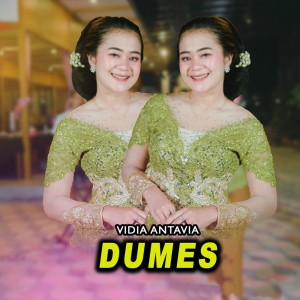 Dengarkan Dumes (Cover) lagu dari Vidia Antavia dengan lirik