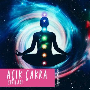 Listen to Crown Chakra song with lyrics from Zeynep Huzur