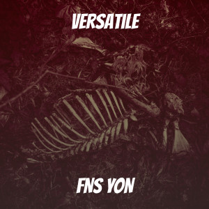 Listen to Promise (Explicit) song with lyrics from FNS YON