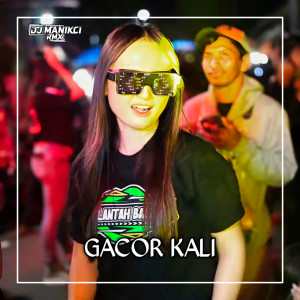Album Gacor Kali from DJ MANIKCI