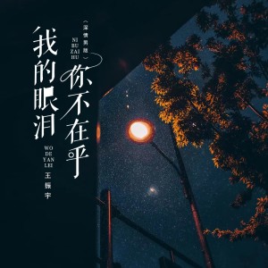 Album 我的眼泪你不在乎（辉煌版） from 王振宇