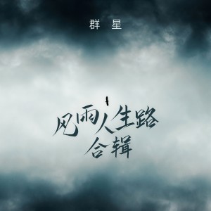 อัลบัม 风雨人生路合辑 ศิลปิน 群星