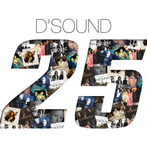 อัลบัม 25 ศิลปิน D'Sound