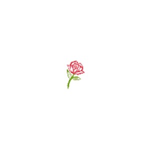 Album 解说 from 彩虹边的一只鱼