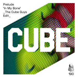 Prelude的专辑In My Bone (The Cube Guys Edit)