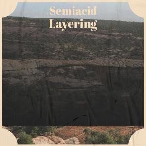 Various Artists的專輯Semiacid Layering