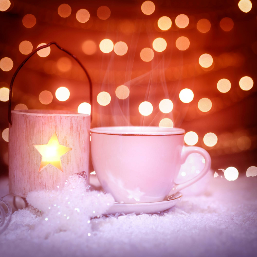 Christmas Stars Shining in the Winter Breeze