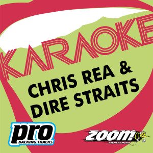 ดาวน์โหลดและฟังเพลง Fool (If You Think It's Over) - (Chris Rea) พร้อมเนื้อเพลงจาก Various