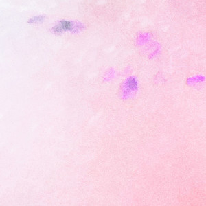 Album WARM COTTON from 최고기