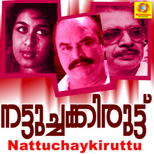 收听Madhuri的Veena Maniveena (From "Nattuchaykiruttu")歌词歌曲