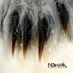 ดาวน์โหลดและฟังเพลง Ataasiusutut Misigissuseq พร้อมเนื้อเพลงจาก Nanook