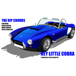 Listen to Hey Little Cobra song with lyrics from The Rip Chords