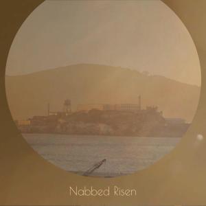 Various的专辑Nabbed Risen