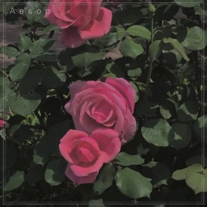 Listen to 보고 싶어요 (Need You Lord) song with lyrics from EL