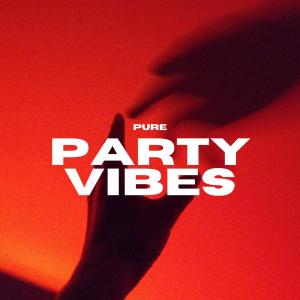 Album Pure Party Vibes oleh Various Artists