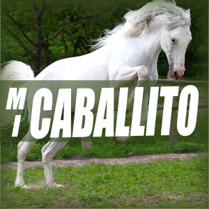 Album El Caballito from Various