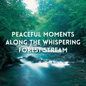 Peaceful Moments Along the Whispering Forest Stream