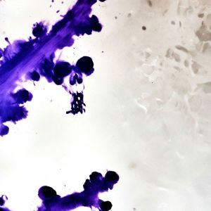 ดาวน์โหลดและฟังเพลง Atrophy (Explicit) พร้อมเนื้อเพลงจาก Dunyá