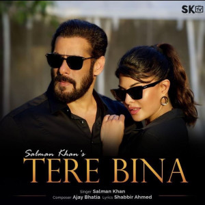 Dengarkan lagu Tere Bina nyanyian Salman Khan dengan lirik