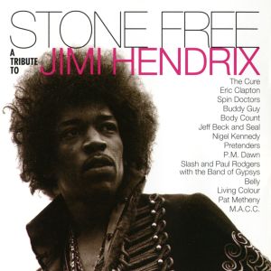 Various的專輯Stone Free: A Tribute to Jimi Hendrix