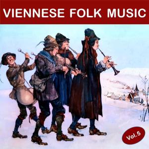 Listen to Die Fahrkart’n nach Wien (Live) song with lyrics from Franz Zimmer
