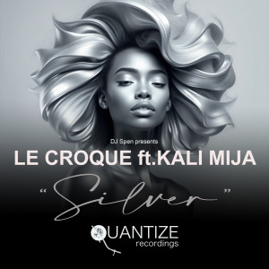 Listen to Silver (Reelsoul & DJ Spen Radio Edit) song with lyrics from Le Croque