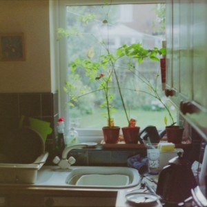 Listen to Dozed song with lyrics from notliam.
