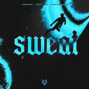 收聽TEKKCAT的Sweat (HardTekk)歌詞歌曲