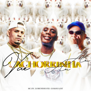 Dj Bruninho Pzs的專輯Cachorrinha Vai Au Au (Explicit)