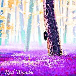 Album Red Wonder from John McLaughlin
