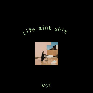Life Aint Sh!t dari VST